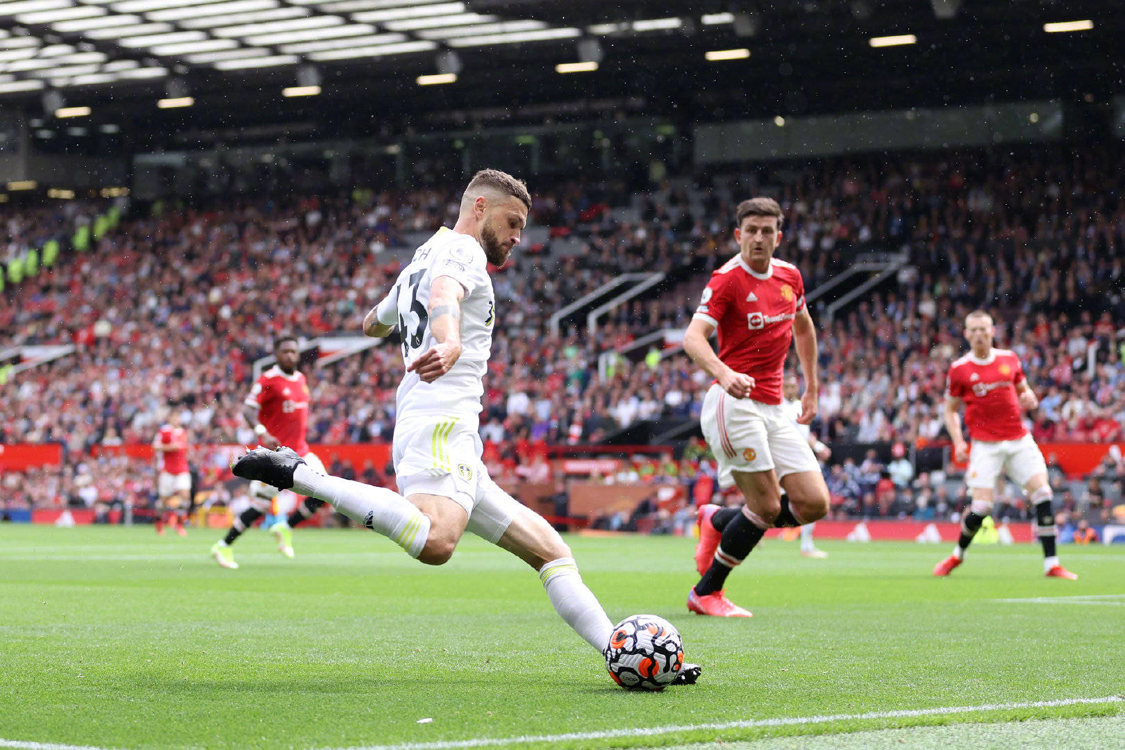 依赖锡安的 依赖锡安的